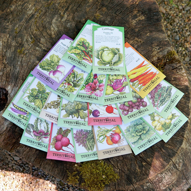 WINTER GARDEN COLLECTION-COLLECTION