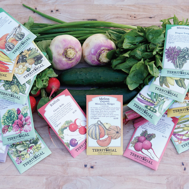 THROW & GROW GARDEN ESSENTIALS-COLLECTION