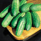 REGAL-CUCUMBER